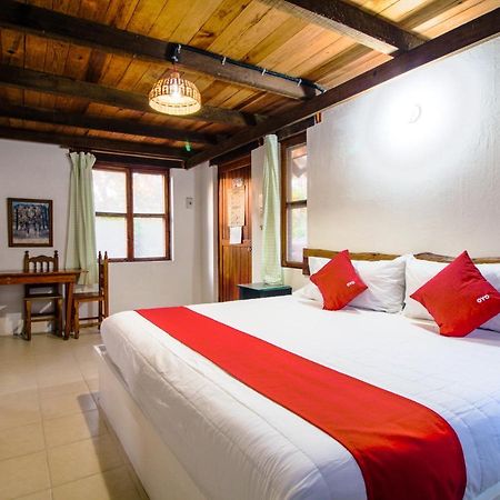 Villas Palmira - Beach Front Heroica Alvarado Eksteriør bilde
