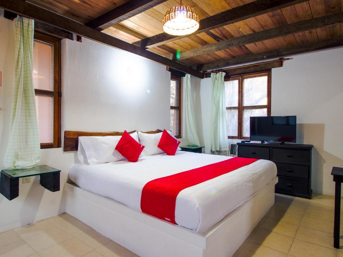 Villas Palmira - Beach Front Heroica Alvarado Eksteriør bilde
